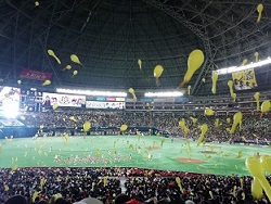 プロ野球開幕！