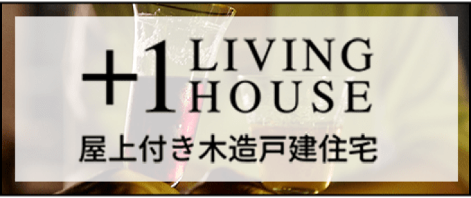 屋上付き木造戸建住宅